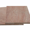 4.5mm Red bintangor wood supplier plywood for philippines market